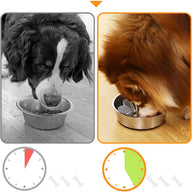 Dog Bowl Slow Food Feeder