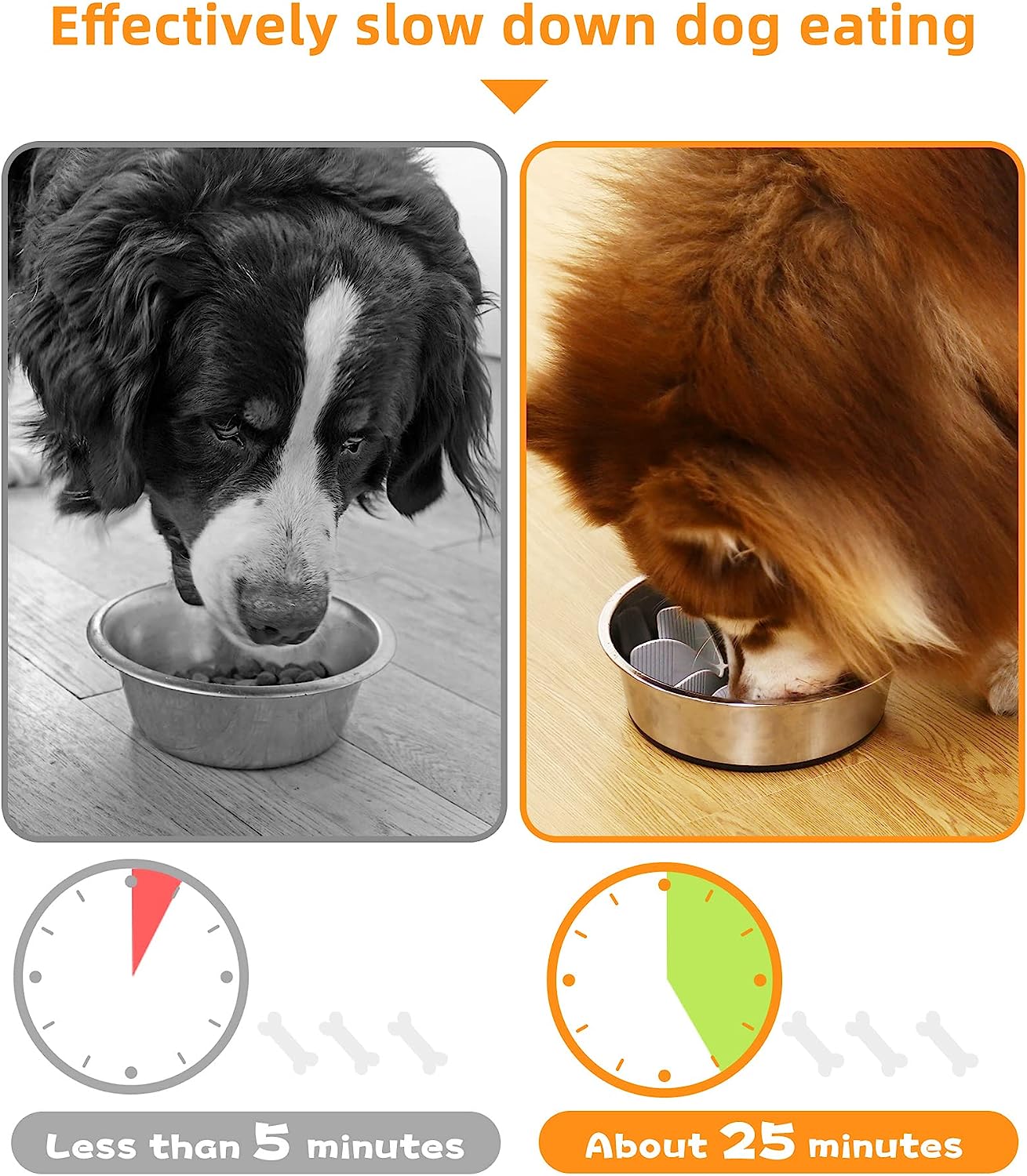 Dog Bowl Slow Food Feeder