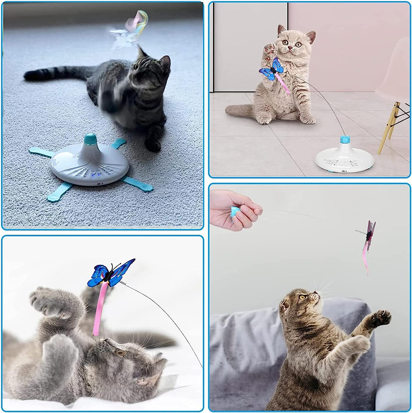 Indoor Cat Interactive Toys