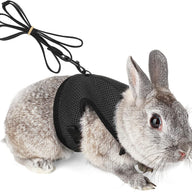 Rabbit carrier with elastic cord