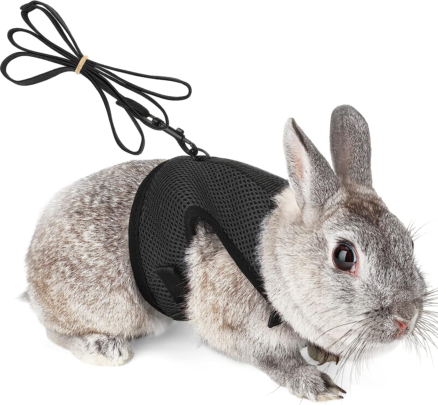 Rabbit carrier with elastic cord