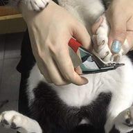 Pet Nail Clipper Claw Trimmer