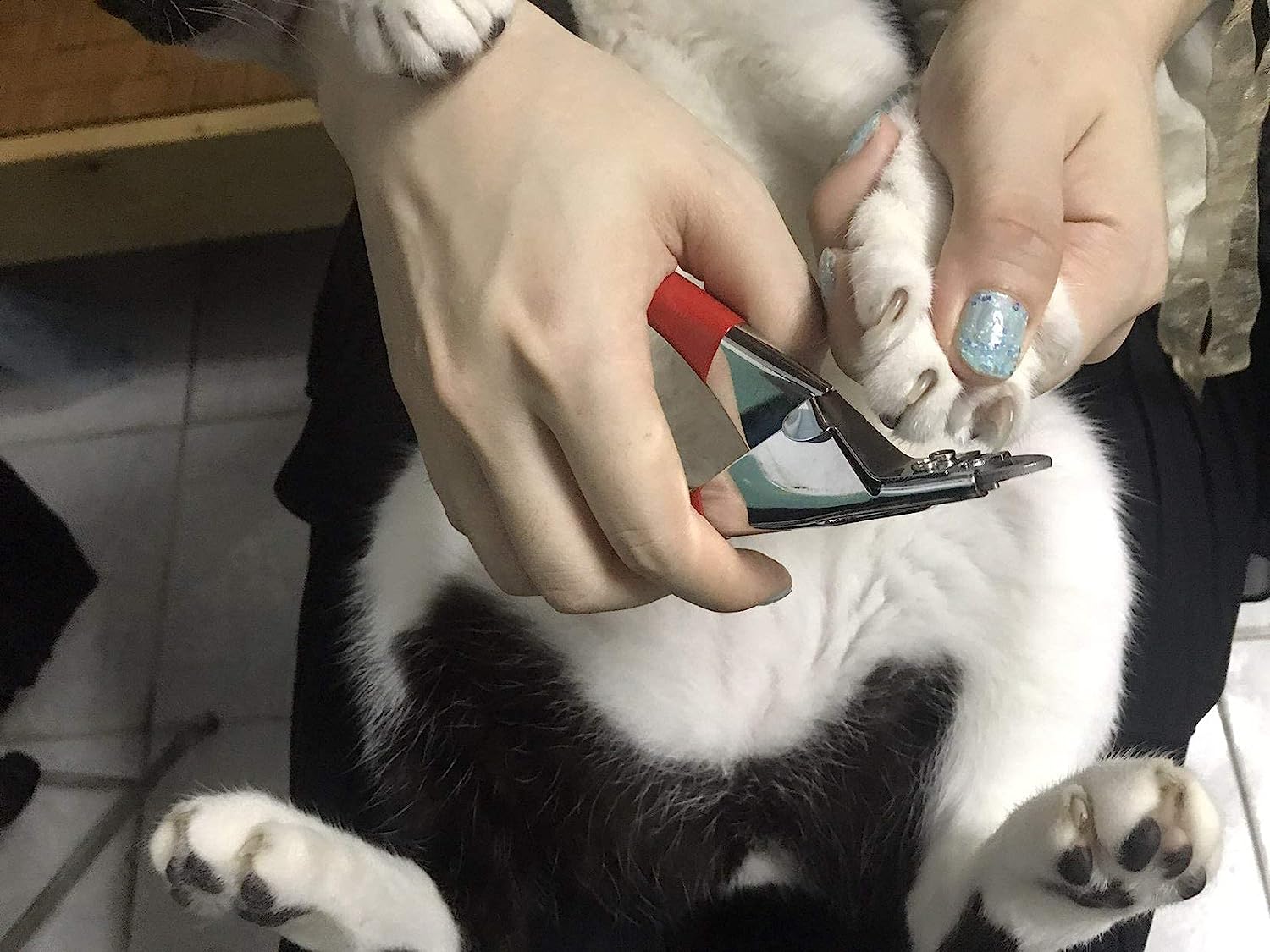 Pet Nail Clipper Claw Trimmer