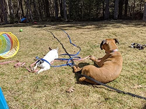 Black Puppy Training Leash