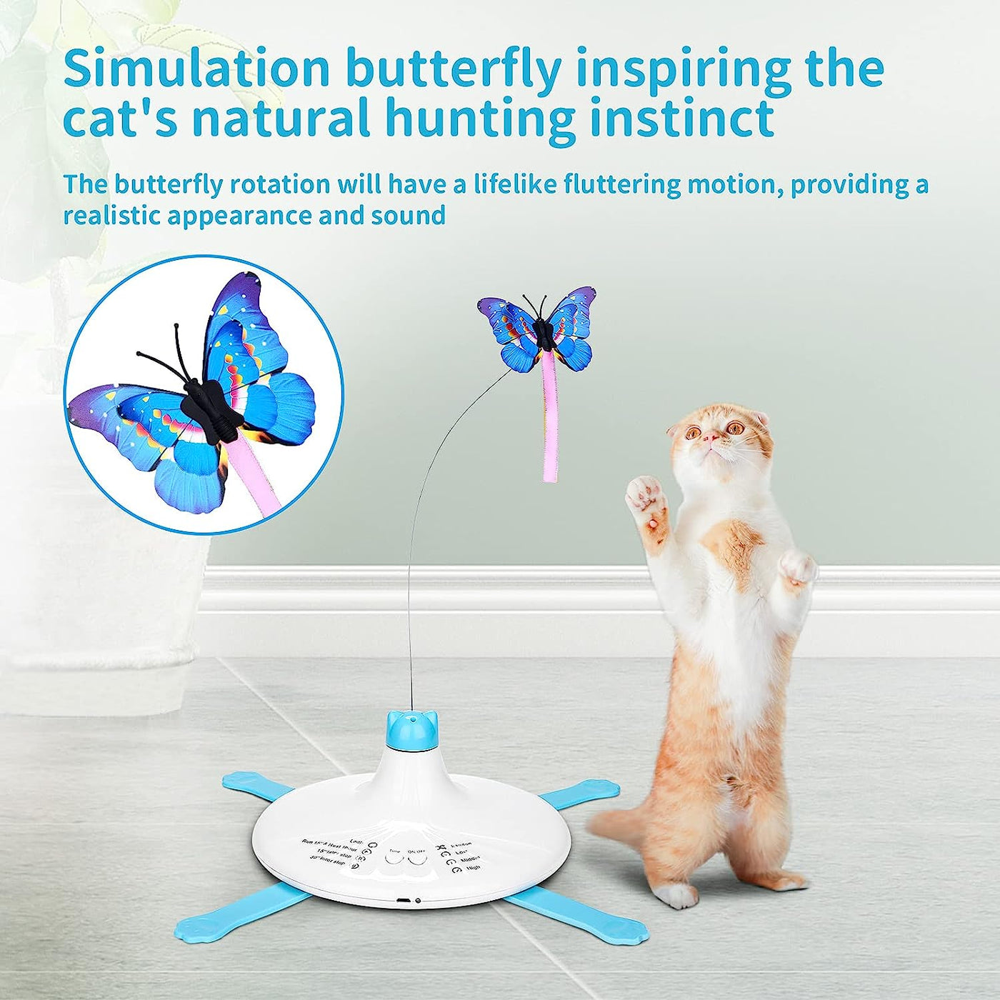 Indoor Cat Interactive Toys