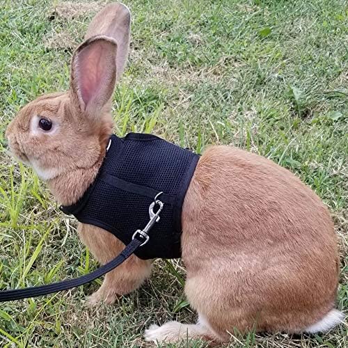 Rabbit carrier with elastic cord