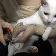 Pet Nail Clipper Claw Trimmer