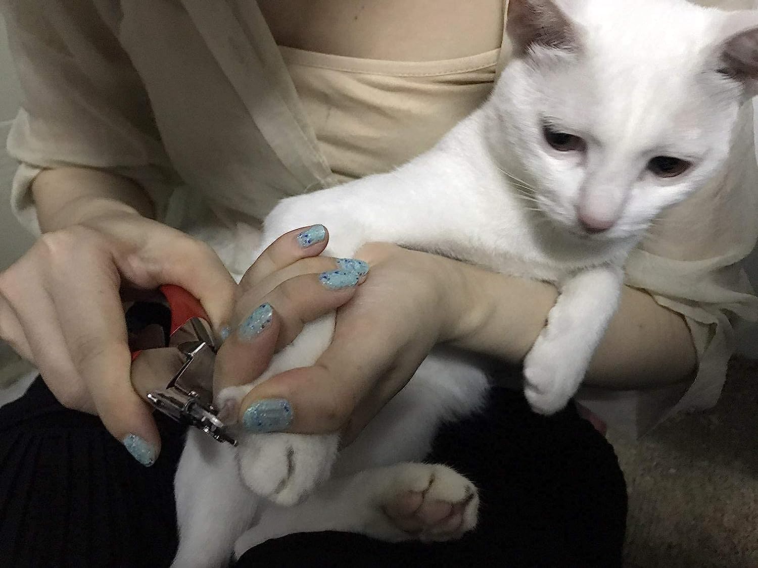 Pet Nail Clipper Claw Trimmer