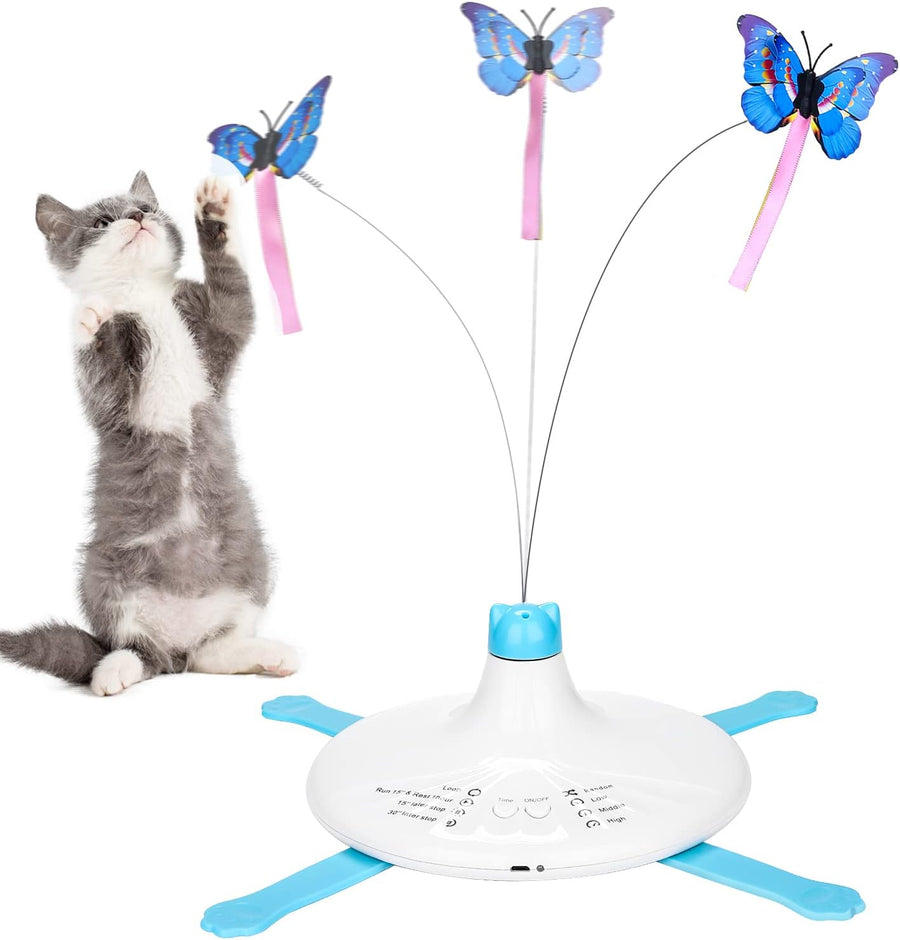 Indoor Cat Interactive Toys